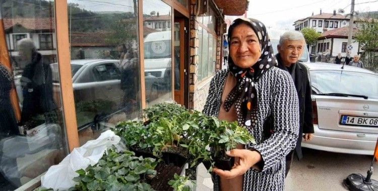 Bolu’da 10 bin fideye yoğun talep
