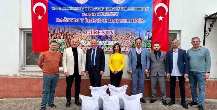 Giresun’da fındığa ek gelir için salep tohumu dağıtıldı
