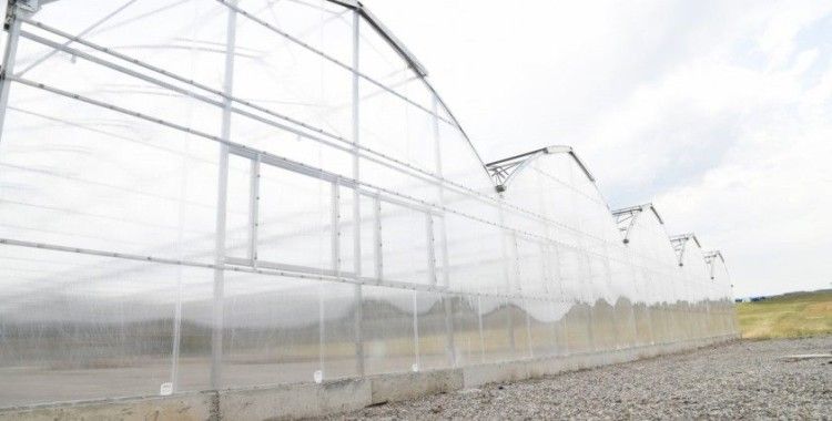 Çiçek üretim serasında sona gelindi
