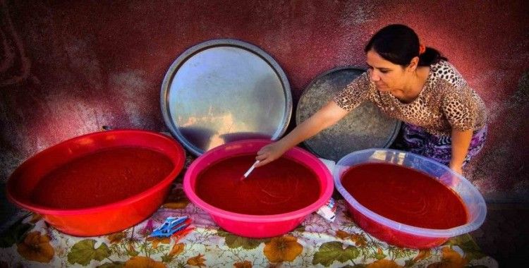 Büyükşehir Salça Üretim Tesisi Fizibilite Projesi’ne destek
