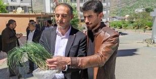 Vatandaşlar zuzubak otunun coğrafi işaretle tescillenmesini istiyor
