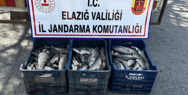 Elazığ’da kaçak balık avı yapan şüpheli yakalandı