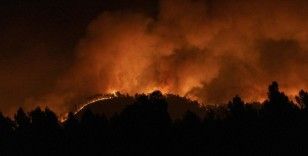 İspanya'da orman yangınları iki gündür devam ediyor: 700 kişi tahliye edildi