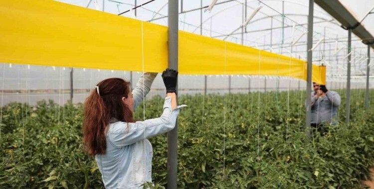 Denizlili üreticilere haşerelerle mücadele desteği sürüyor
