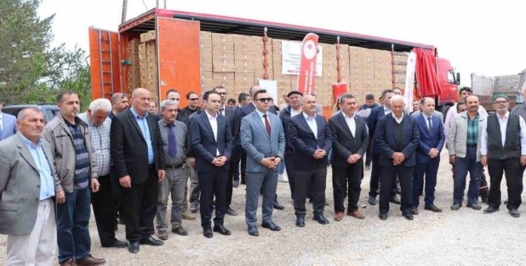 Akıncılar’da 220 bin domates fidesi dağıtıldı