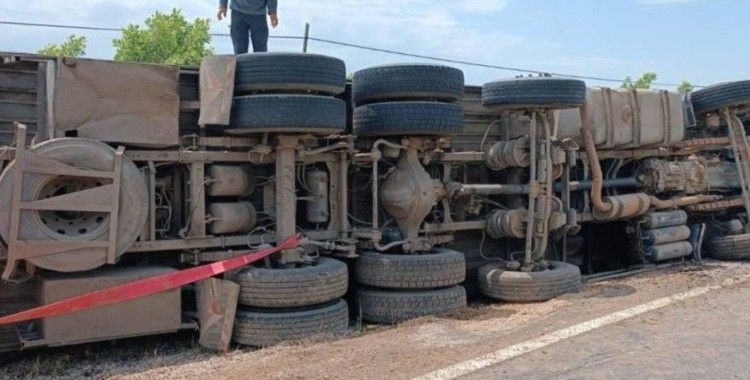Şırnak'ta tır devrildi: 102 koyun ve keçi öldü