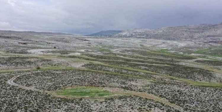 Mersin'de yaylaya yağan kar, arıcıları bal rekoltesi için umutlandırdı