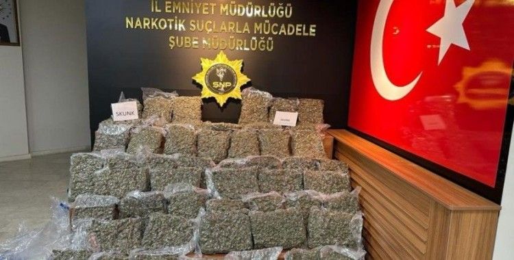 Şanlıurfa'da 50 kilogram skunk ele geçirildi