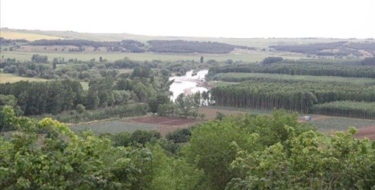 Hevsel Bahçeleri tarımsal üretim ve biyolojik çeşitliliğiyle kitaplaştırılıyor