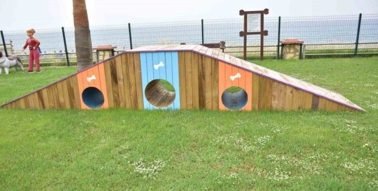 Mahmutlar Mahallesi’nde köpekler için oyun ve eğitim parkını hizmete açıldı

