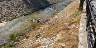 Kilis'te dereler temizleniyor