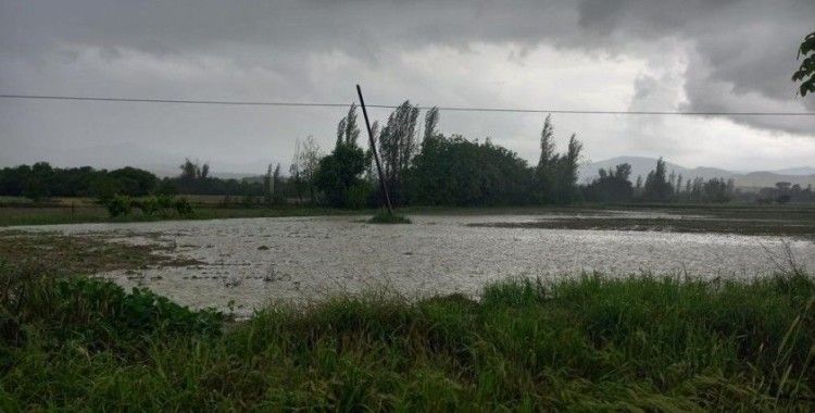 Sağanak ve dolu yağışı tarım arazilerini vurdu
