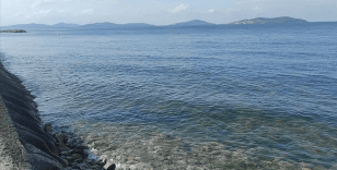 Türkiye Çevre Haftası 'Temiz Deniz, Temiz Dünya' temasıyla kutlanacak
