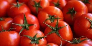 Rusya Tarım Bakanlığı'nın kararname taslağı hazır: Türk domatesinde kota resmen 500 bin tona çıkıyor