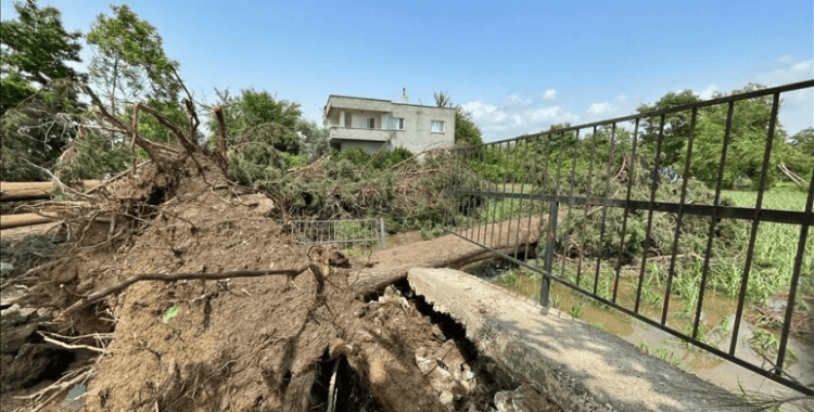 Osmaniye'de fırtına ve sağanak hayatı olumsuz etkiledi