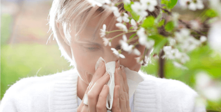 Fransa'da polen alerjisine karşı 81 bölgede kırmızı alarma geçildi