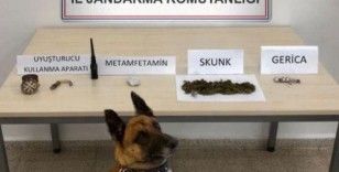 Kars’ta jandarmadan uyuşturucuya geçit yok
