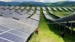 Kosova'da güneş enerjisi panellerinin temizleyicisi: Koyun ve keçiler