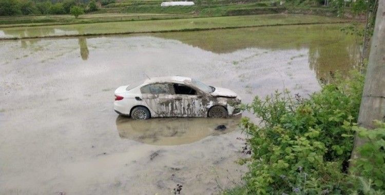 Sinop’ta otomobil çeltik tarlasına uçtu: 1 yaralı
