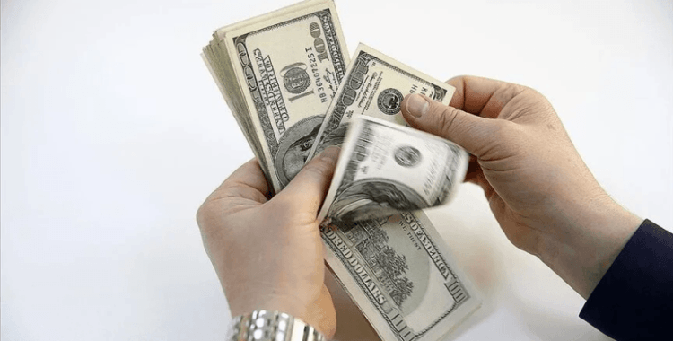 Merkez Bankası rezervleri 101,6 milyar dolar oldu