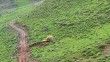 Uludere’de yayla yolları bir bir açılıyor
