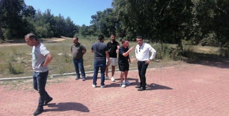 Palmiyeye çarpan Alman sürücünün yalanını güvenlik kameraları ortaya çıkardı
