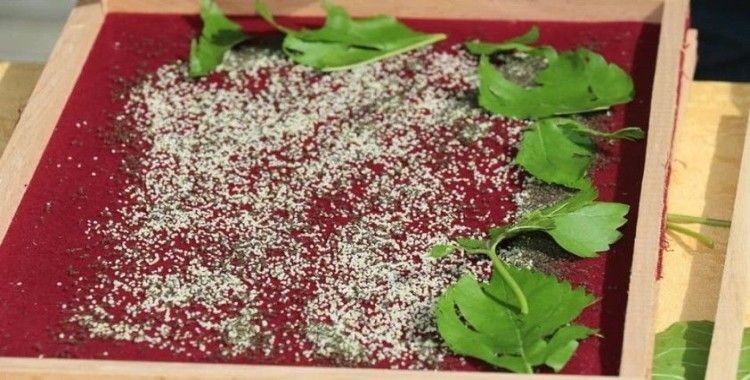 Elazığ’da eğitimi tamamlayan 25 üreticiye 90 kutu ipek böceği larvası dağıtıldı
