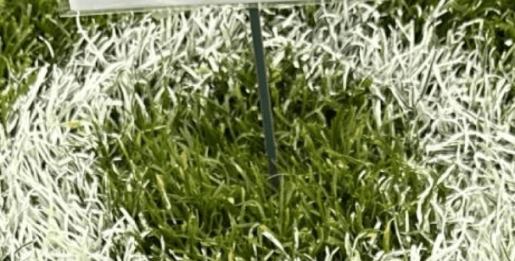 James Milner’a, Anfield’ın penaltı noktası hediye edildi