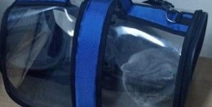 Isparta’da çalınan 2 köpek ve 1 kedi HAYDİ ekipleri tarafından bulundu
