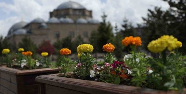 Kars Belediyesi’nden çevre düzenlemesi
