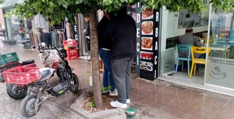 Yağmurdan korunmak için ağacın altına girdiler
