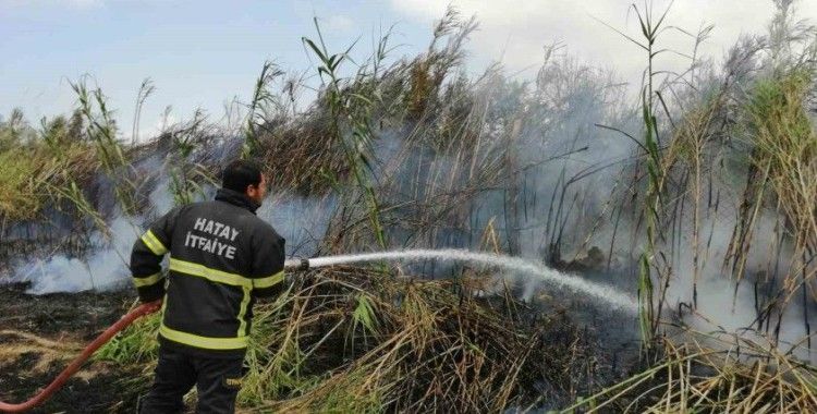 Sazlık alanda çıkan yangın söndürüldü
