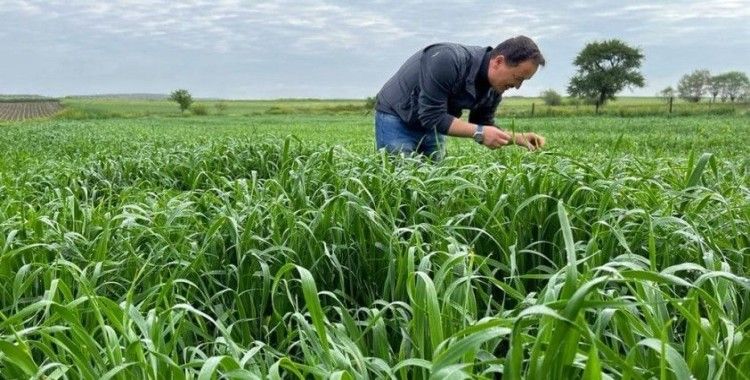 Ekili alanlarda zararlı haşerelere karşı mücadele başlatıldı
