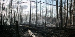 Kanada'da orman yangınları nedeniyle binlerce kişi tahliye edildi