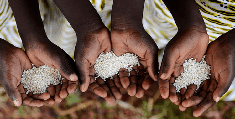 BM'den 'açlık' uyarısı: Durum daha da kötüye gidecek