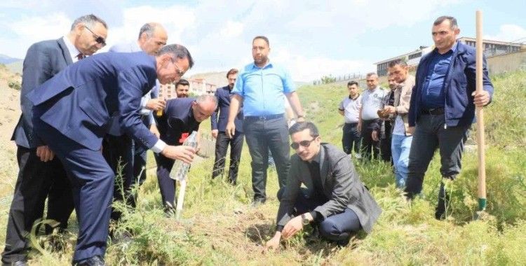 Hakkari’de 'Dünya Tütünsüz Günü'nde fidan dikildi