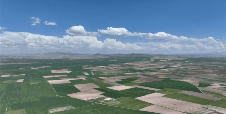 Kayseri'de tüzel kişilik kazanan sera OSB'de yıllık 35 bin ton ürün yetiştirilecek