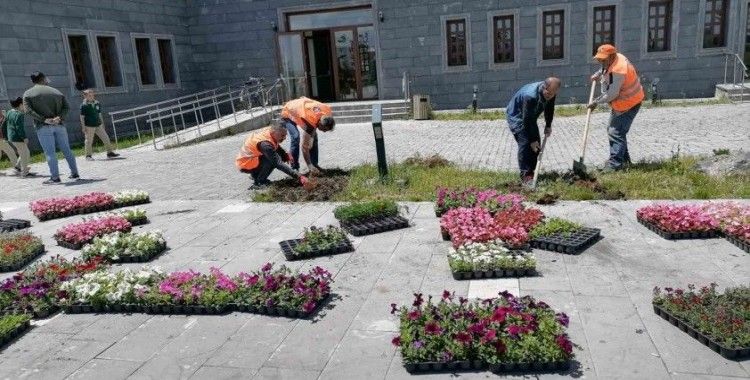 Kars’ta park ve bahçeler çiçek açıyor