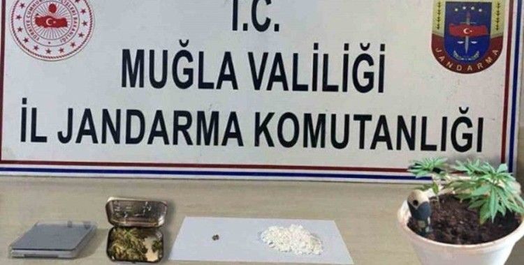 Jandarmadan Muğla genelinde uyuşturucu operasyonu
