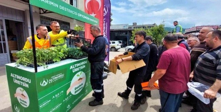 Altınordu’da çiftçilere 452 bin adet fide desteği
