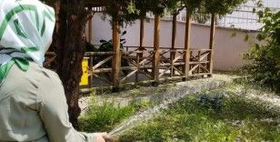 Ağaçları sulayarak dikkat çektiler
