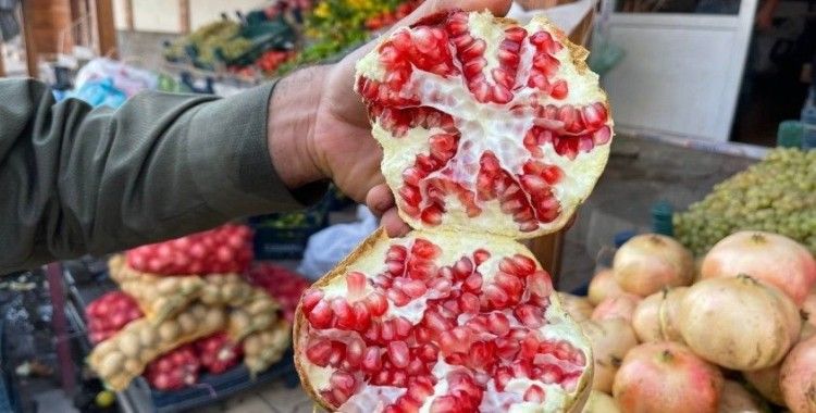 Avrupa Birliği’nden Suruç narı kararı
