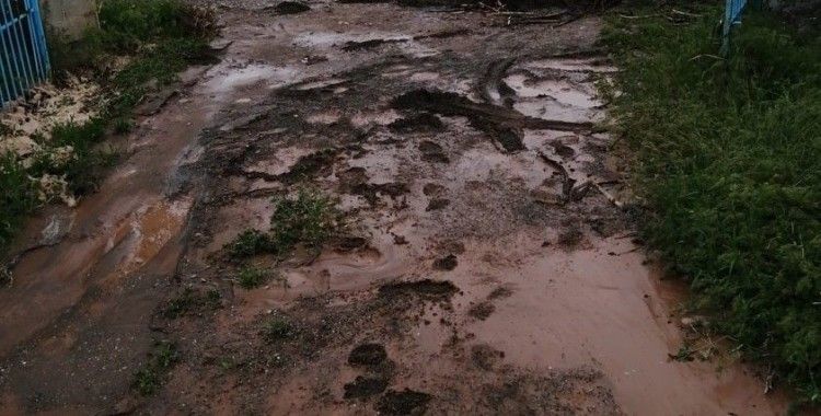 Sağanak sele dönüştü, tarım arazileri zarar gördü
