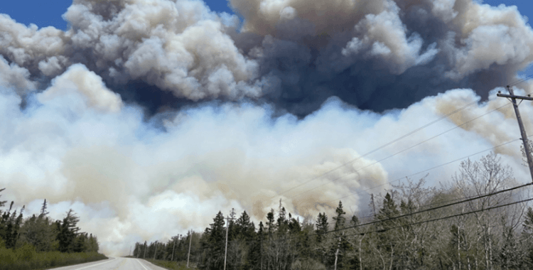 Kanada'da etkisini sürdüren orman yangınlarında 3 milyon hektarlık alan zarar gördü