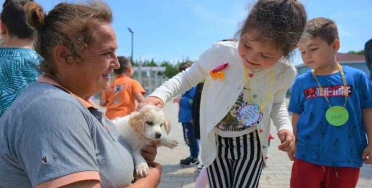 Lapseki’de Anaokulu öğrencileri hayvan barınağını gezdi
