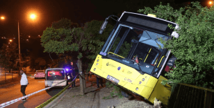 Park halindeki İETT otobüsü evin bahçesine düştü