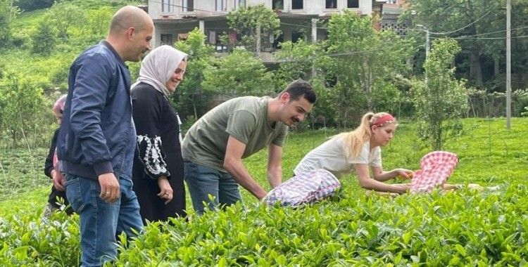 İkizdere Kaymakamı eşiyle çay topladı, fabrikada çayın işlenmesini inceledi
