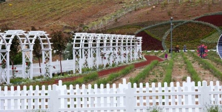 Meram Lavanta Bahçesi ziyaretçilerini ağırlamak için gün sayıyor
