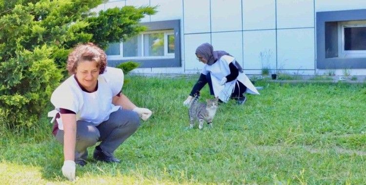 Kırklareli’nde sağlık çalışanları çevre temizliği yaptı
