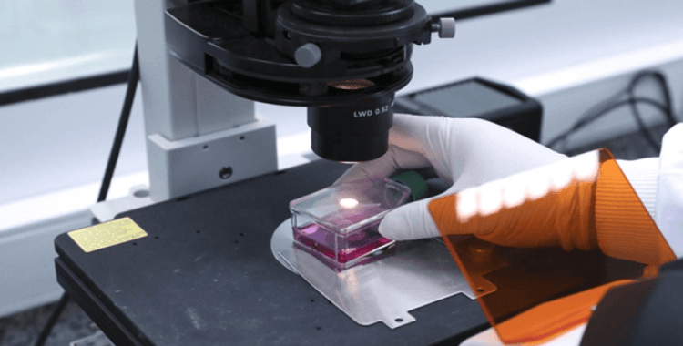 SMA tedavisi için İstanbul'a nadir hastalıklar hastanesi kurulacak